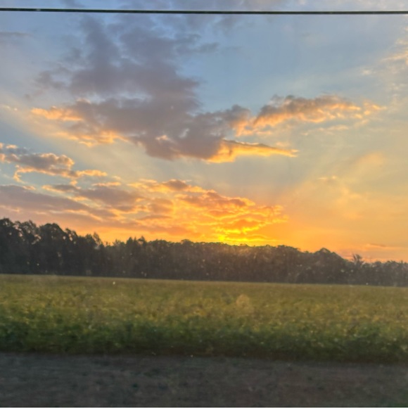 aubrey_forey